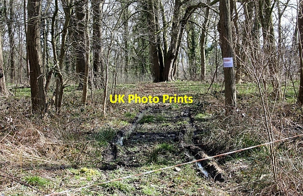 Photo 6"x4" The Ridings on Brierley Hill Woodmancote\/SO9042 c2010