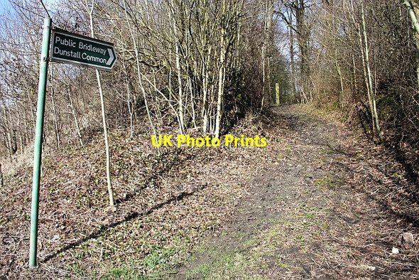 Photo 6"x4" Bridleway through The Ridings Woodmancote\/SO9042 c2010