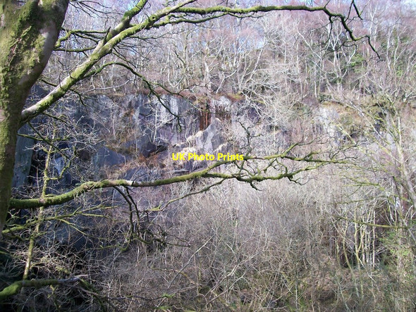 Photo 6"x4" The backwall of Faenol Quarry Fachwen\/SH5761 c2008