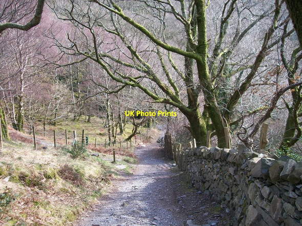 Photo 6"x4" Bedw Argoed track near Cae Mabon Fachwen\/SH5761 c2010