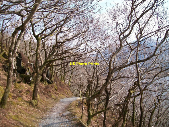 Photo 6"x4" The broad open summit of the path Llanberis c2010
