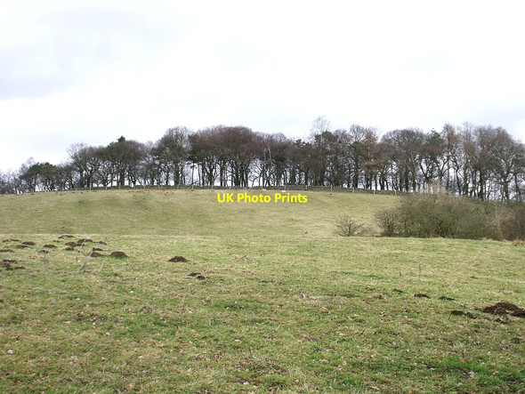 Photo 6"x4" Riskend Strip Kilsyth c2010