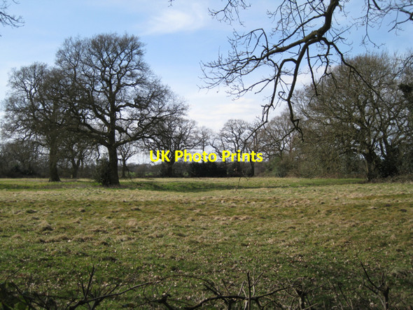 Photo 6"x4" Meadow south of Beausale Beausale c2010