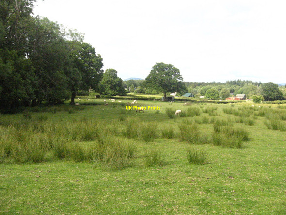Photo 6"x4" Goetre Farmland Croes y pant c2009