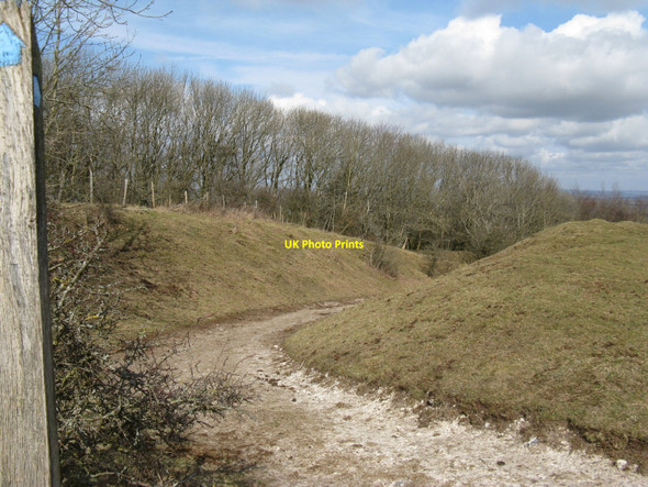 Photo 6"x4" Top end of Warningore Bostall Plumpton\/TQ3613 c2010