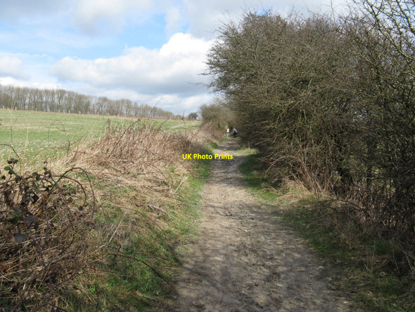 Photo 6"x4" South Downs Way descending from Blackcap Plumpton\/TQ3613 c2010