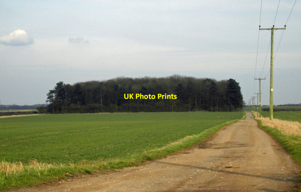 Photo 6"x4" The Track towards Dunkirk Wood Wootton\/TA0816 c2010
