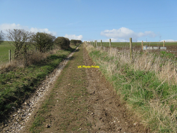Photo 6"x4" Bridleway to the South Downs Way near Ditchling Beacon Stanmer c2010