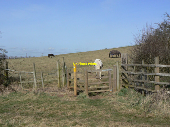 Photo 6"x4" Stile on footpath from Little Moor Lane Bradmore\/SK5831 c2010