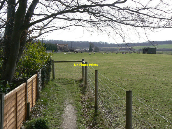 Photo 6"x4" Footpath at Bunny Bunny c2010
