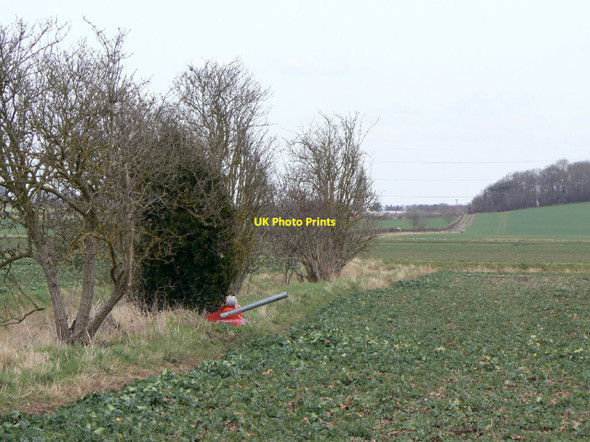 Photo 6"x4" Birdscarer (1) Bunny Hill\/SK5728 c2010