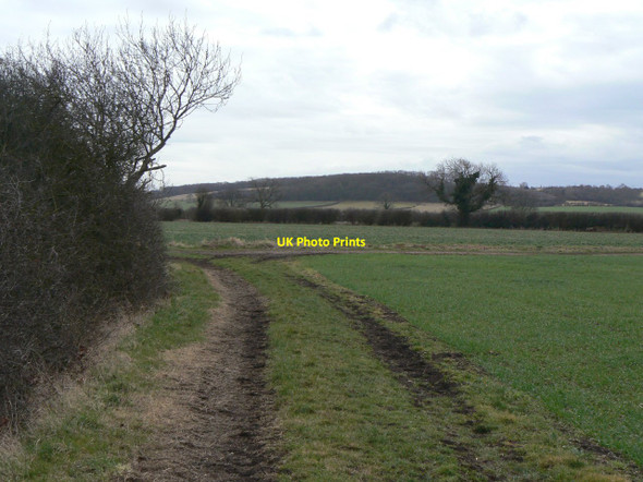 Photo 6"x4" Track junction on Bunny Moor Bunny Hill\/SK5728 c2010