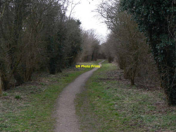 Photo 6"x4" Old railway line Gotham\/SK5330 c2010