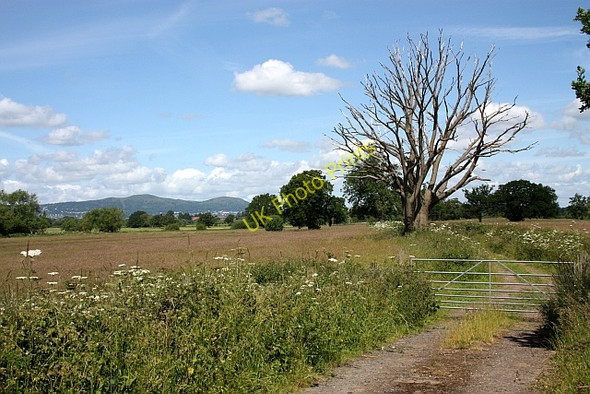 Photo 6"x4" Track over the Severn flood plain Upton upon Severn c2009