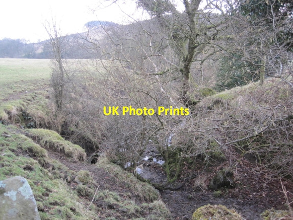 Photo 6"x4" Kingcairn Burn Birkshaw\/NY7765 c2010