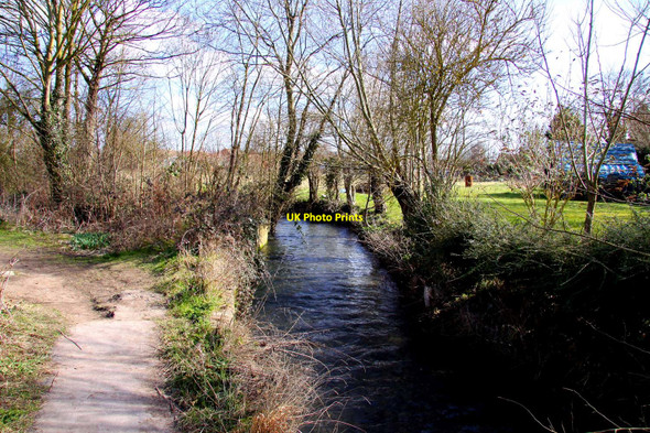 Photo 6"x4" Letcombe Brook Grove\/SU4090 c2010
