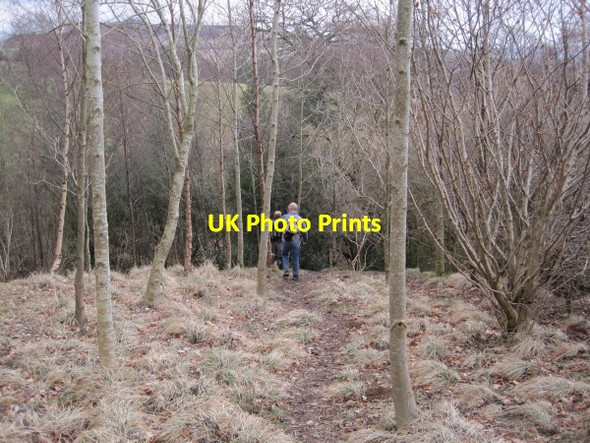 Photo 6"x4" Footpath towards Bean Burn Birkshaw\/NY7765 c2010