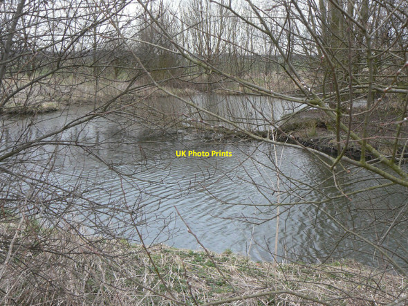 Photo 6"x4" Pond on Barton Moor Gotham\/SK5330 c2010