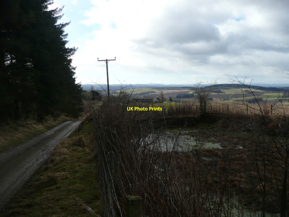 Photo 6"x4" Overgrown pond Clunie\/NO1043 c2010