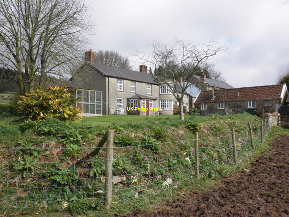 Photo 6"x4" Bowerwood, near Broadhembury Broadhembury c2010