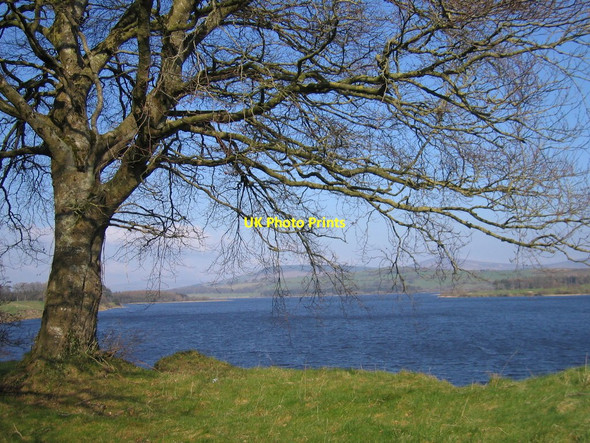 Photo 6"x4" Poulaphouca reservoir Ballymore Eustace c2007