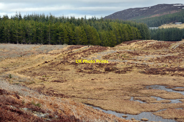 Photo 6"x4" Fence boundary near Rivoulich Abriachan c2010