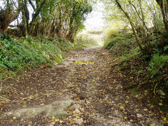 Photo 6"x4" Green Knap Lane Wambrook c2009
