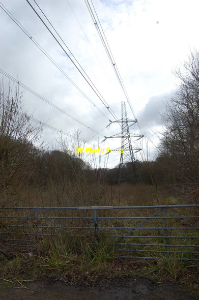 Photo 6"x4" Electricity Pylon in Beckley Woods Beckley\/TQ8523 c2010