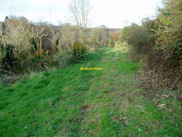 Photo 6"x4" Farm track Higher Wambrook c2009