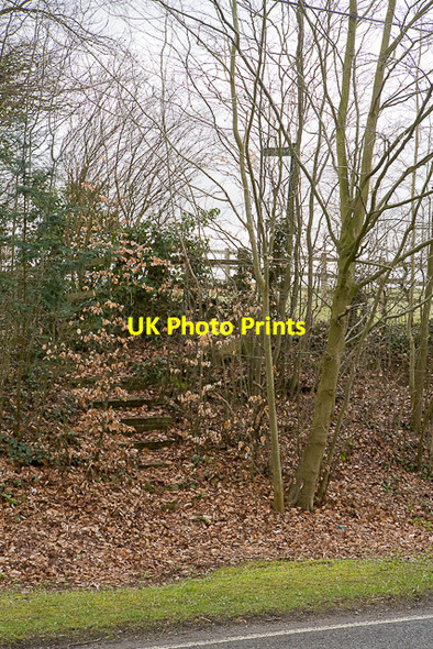 Photo 6"x4" Footpath leaves B3035 at Beeches Dean\/SU5619 c2010