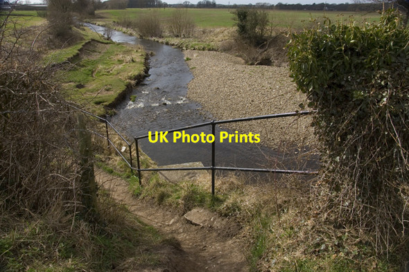 Photo 6"x4" River Brock Brock\/SD5140 c2010