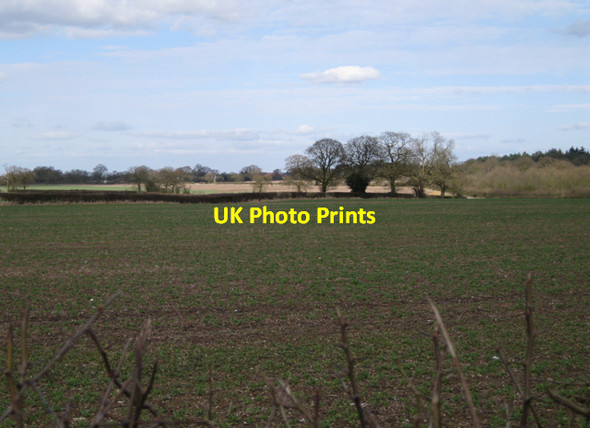 Photo 6"x4" Fields near Manor Farm, Wroxall Haseley Knob c2010