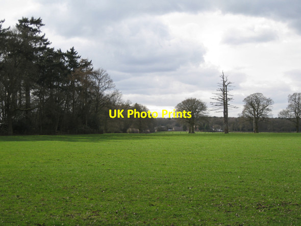 Photo 6"x4" Clump and parkland, Wroxall Abbey estate Wroxhall c2010