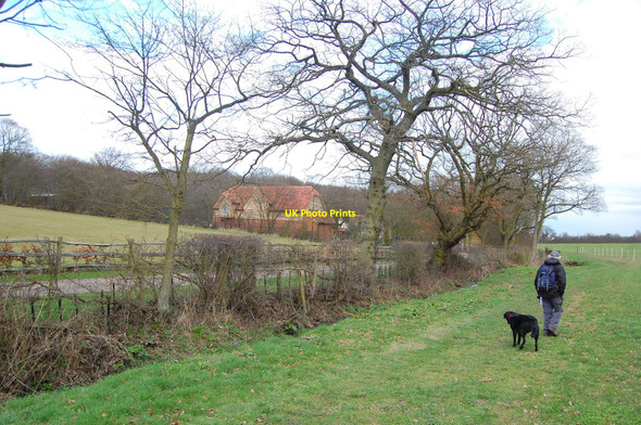 Photo 6"x4" The Essex Way 15 Clatterford End\/TL5202 c2010