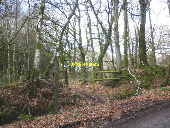 Photo 6"x4" Start of footpath, on Stafford Hill Broadhembury c2010