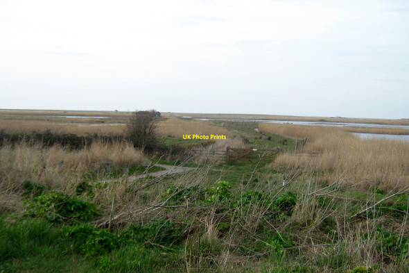 Photo 6"x4" Footpath to Cley Marshes Norfolk Coast Newgate\/TG0543 c2010