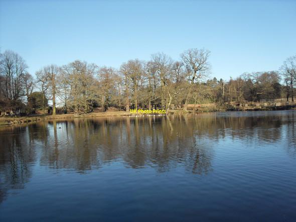 Photo 6"x4" The Duck Pond, Dunham Massey Dunham Town c2010