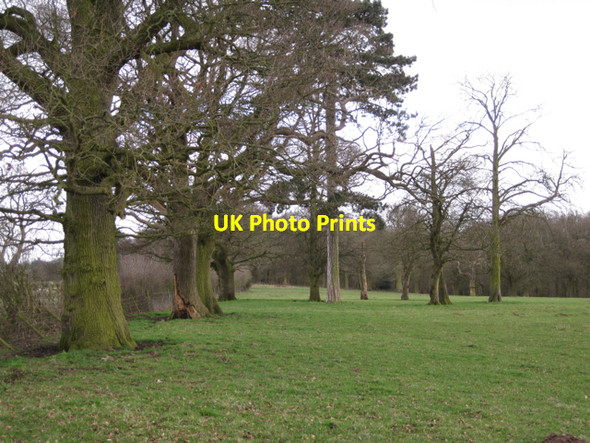 Photo 6"x4" Parkland trees near Haseley Hall Farm Haseley Green c2010