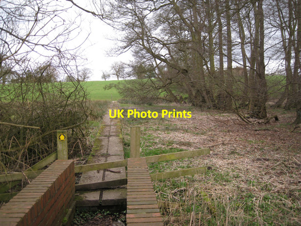 Photo 6"x4" Raised path east of Inchford Brook crossing Haseley Green c2010