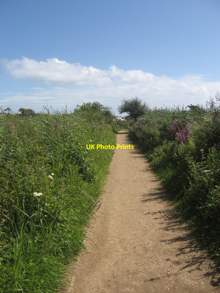 Photo 6"x4" Path to the Visitor Centre Weymouth\/SY6779 c2008