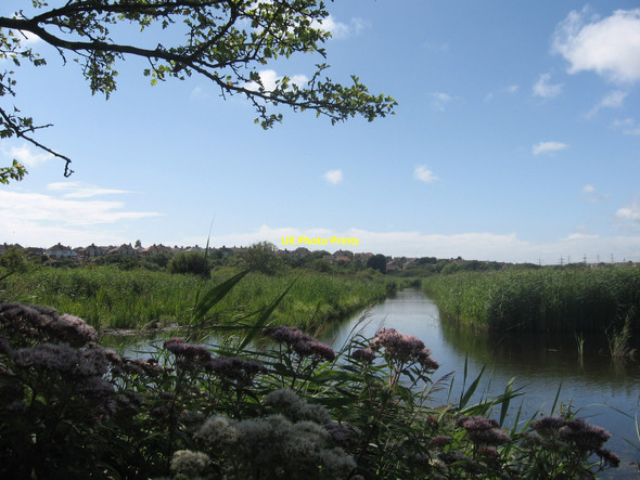 Photo 6"x4" Radipole Lake RSPB Reserve Weymouth\/SY6779 c2008