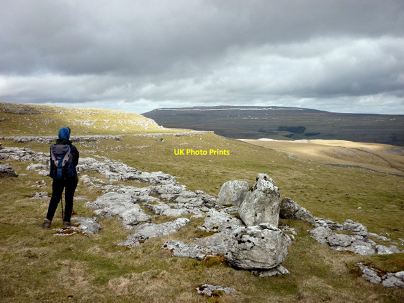 Photo 6"x4" The high limestone pastures of Hawkswick Clowder Hawkswick c2010