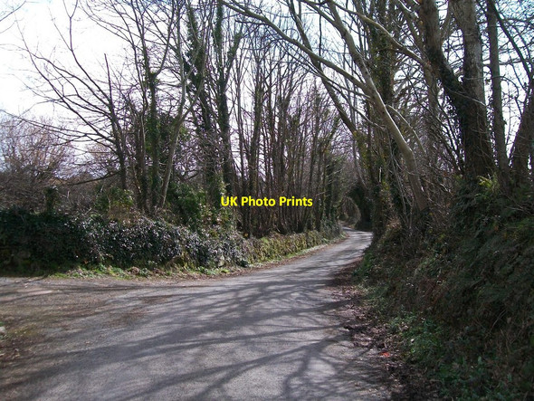 Photo 6"x4" Road south past Ynysleci Llanarmon c2008