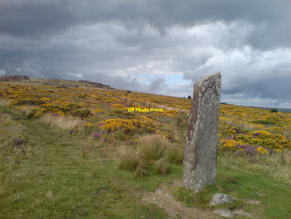 Photo 6"x4" Standing Stone at Laughter Tor Babeny c2009