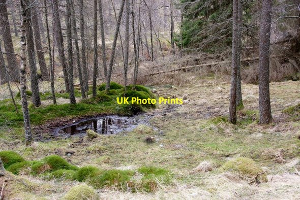Photo 6"x4" Boggy pool in woodland, Glen Doll Acharn\/NO2876 c2010