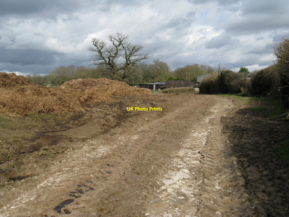 Photo 6"x4" Farmyard manure at Little Oddynes Farm Cinder Hill\/TQ3729 c2010