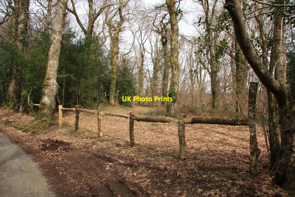 Photo 6"x4" Grey Park Wood Poundsgate c2010