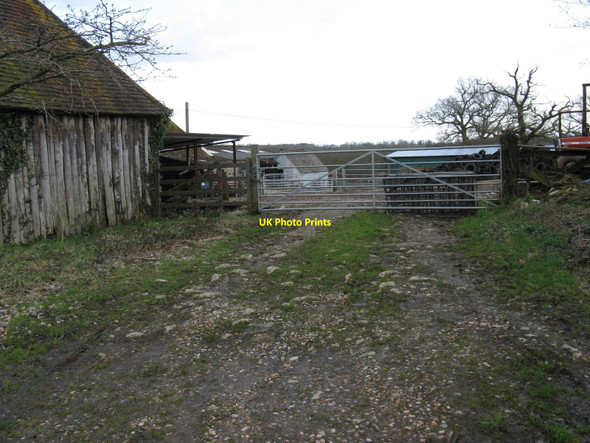 Photo 6"x4" Farmyard at Cinder Hill Farm Cinder Hill\/TQ3729 c2010