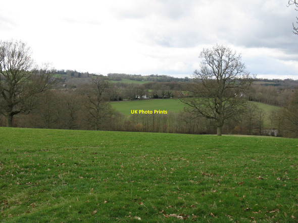 Photo 6"x4" Piplye Wood from Chilling Street Cinder Hill\/TQ3729 c2010