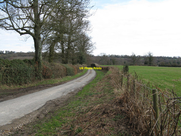 Photo 6"x4" View south on Balcombe Lane Birchgrove\/TQ4029 c2010